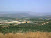 Landwirtschaft in Andalusien